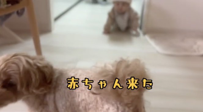 「逃げよっ」