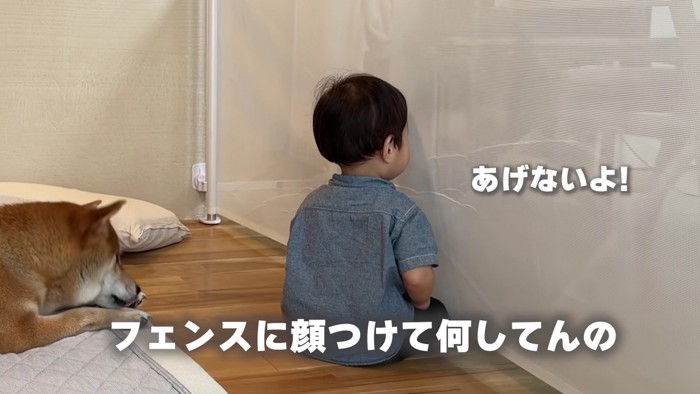 「絶対にあげない!」