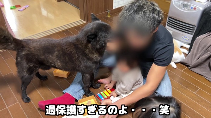 過保護すぎる姿にホッコリ