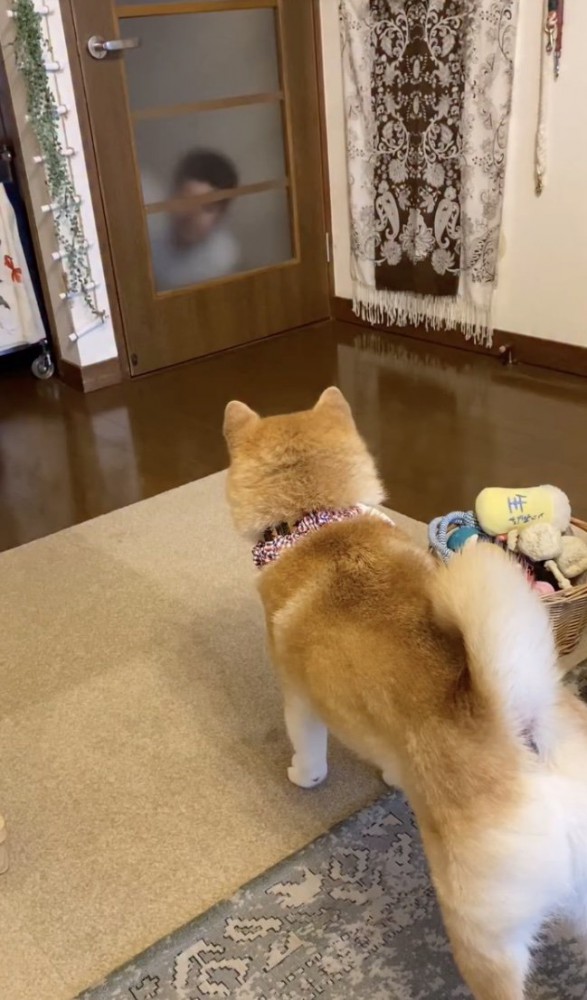 誰かいる…