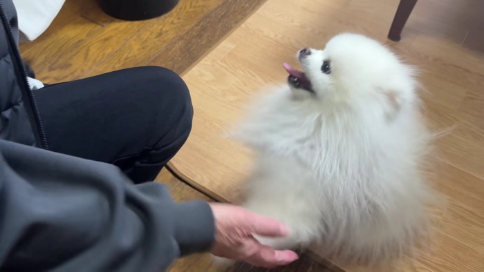 嬉しくて仕方ない♡