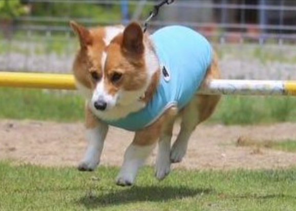 まさかの