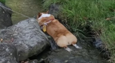 最高の