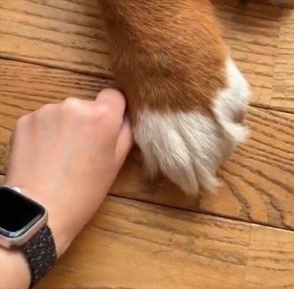 比べて