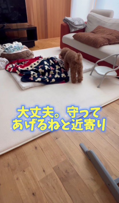 「大丈夫?寝られてる?」