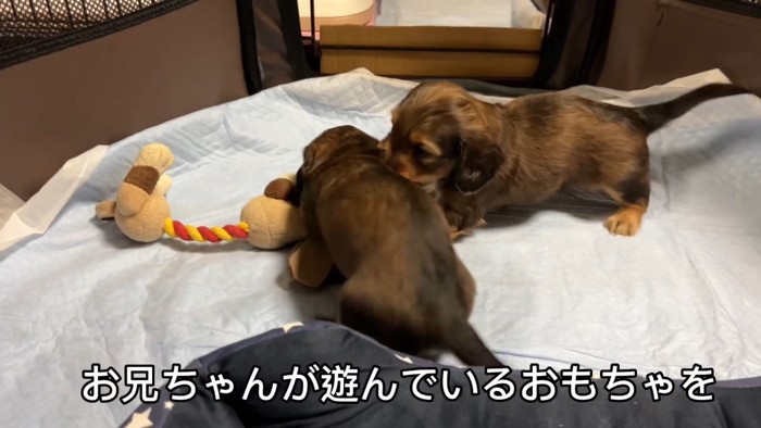 おもちゃを取られていじけるジャンボくん2