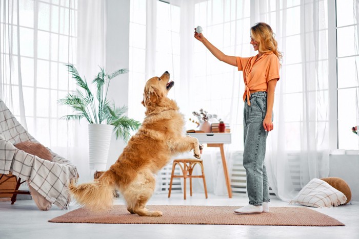 トリックトレーニング中の犬と女性