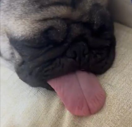 手を離す