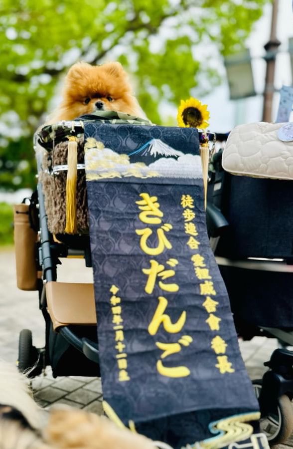 凛々しい