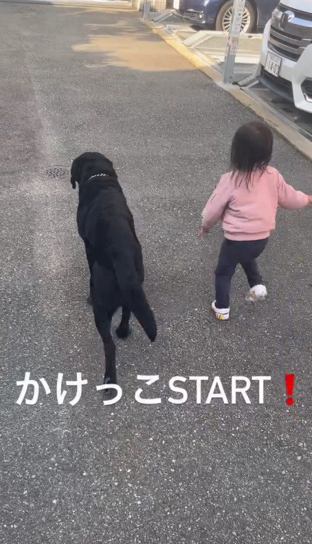 「よーいどん！」