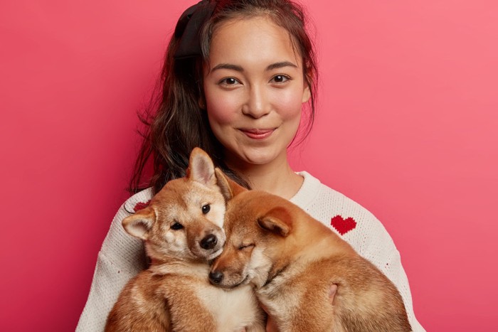 柴犬二頭と女性