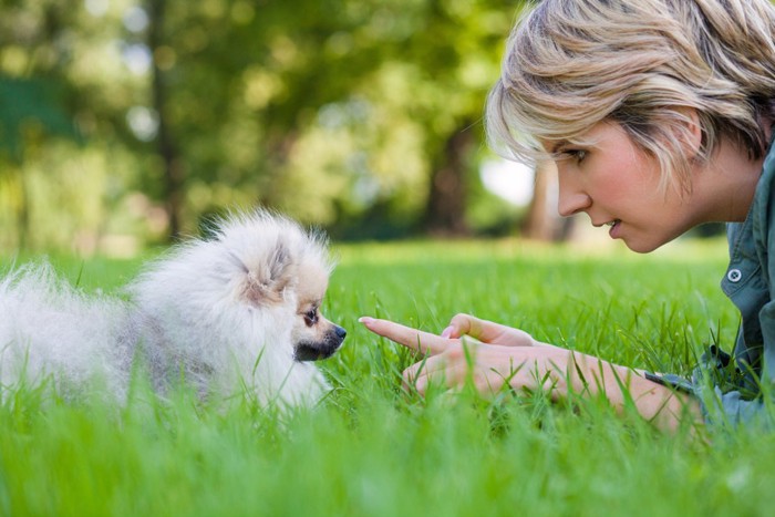 犬に指示する女性