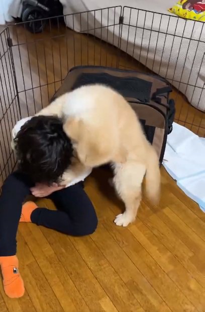 かがんでしまう男の子