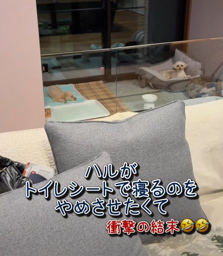 仲睦まじい姿2匹