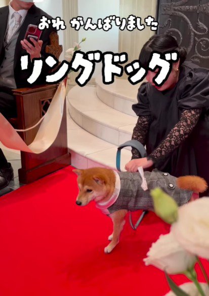 ぶっつけ本番で…