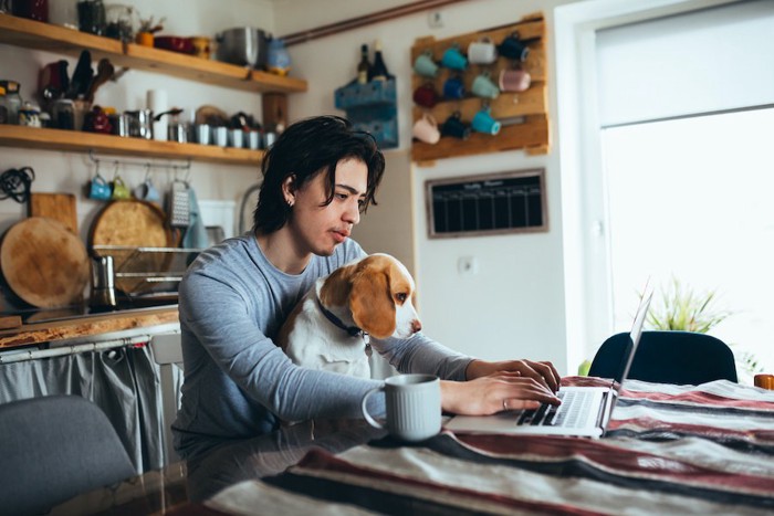 パソコン作業をする飼い主さんの膝に乗る犬