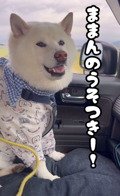 「嘘つき！！」