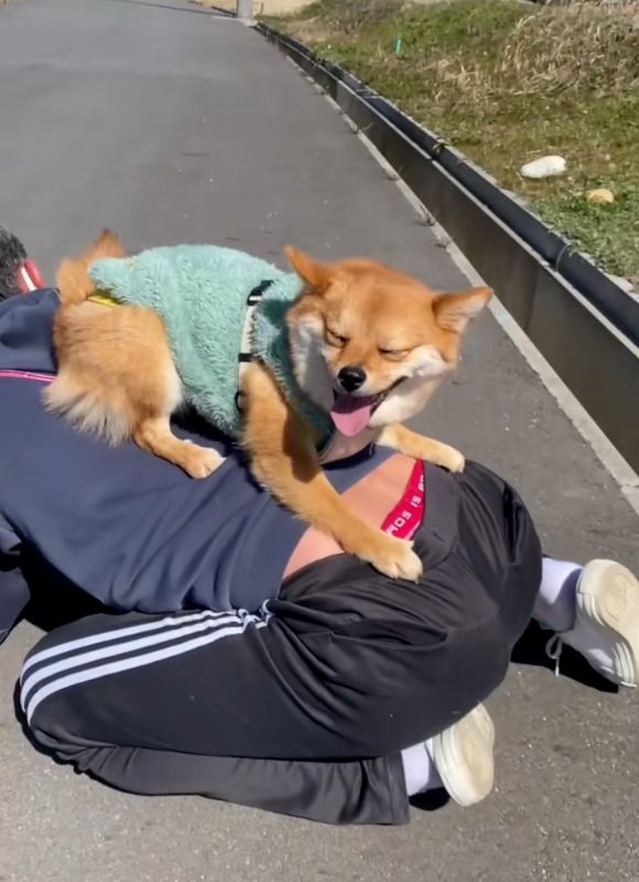 居心地がよさそうな姫ちゃん