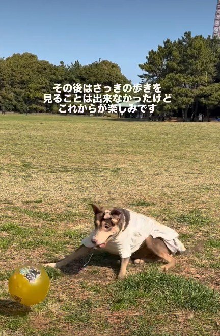 幸せそうな表情に…