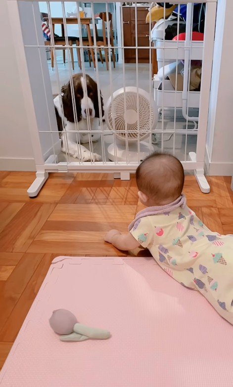 ププくんと娘さん4