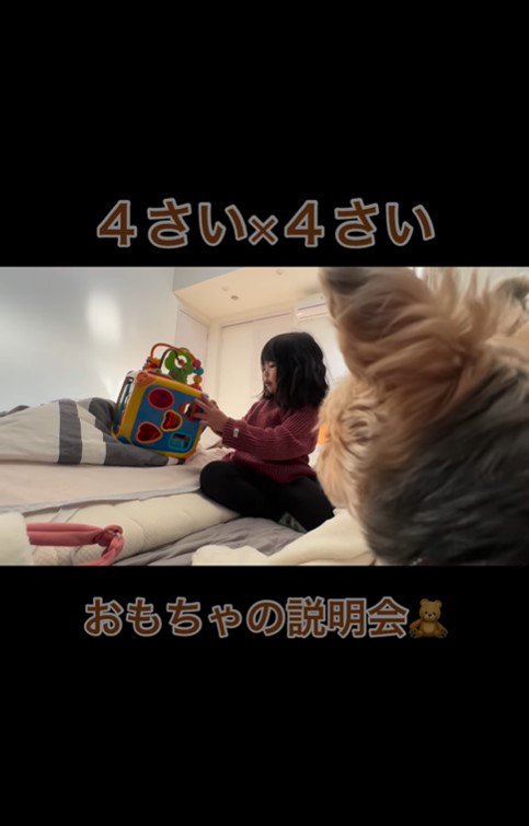 4歳の女の子と虎太郎くん5