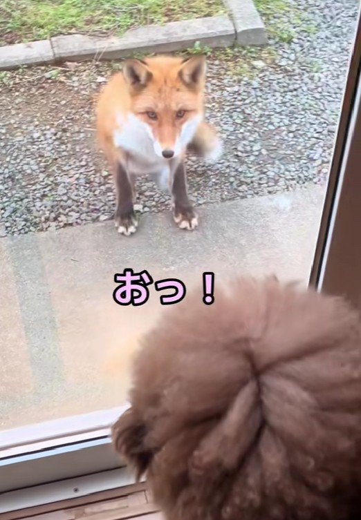 近づいてきた!!