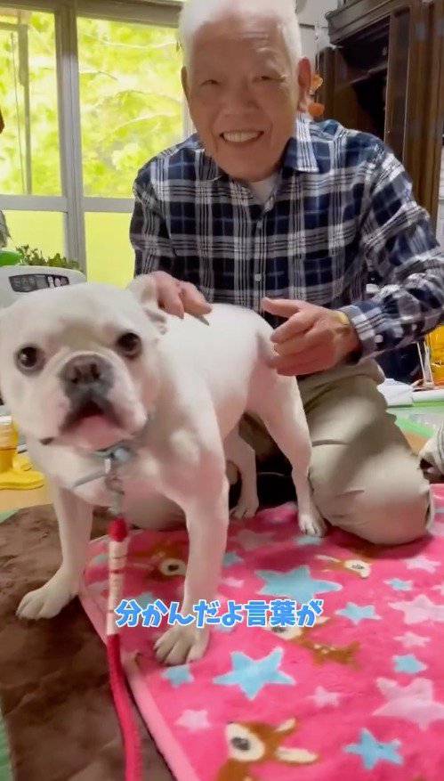 犬を撫でる男性