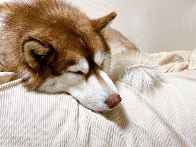 大げさ