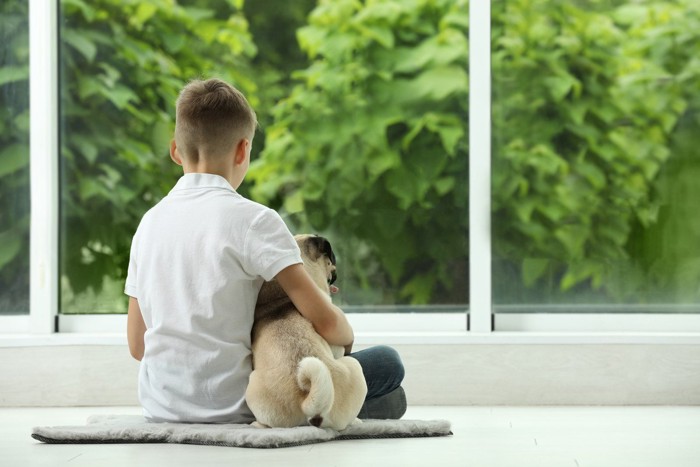 男の子とパグの後ろ姿