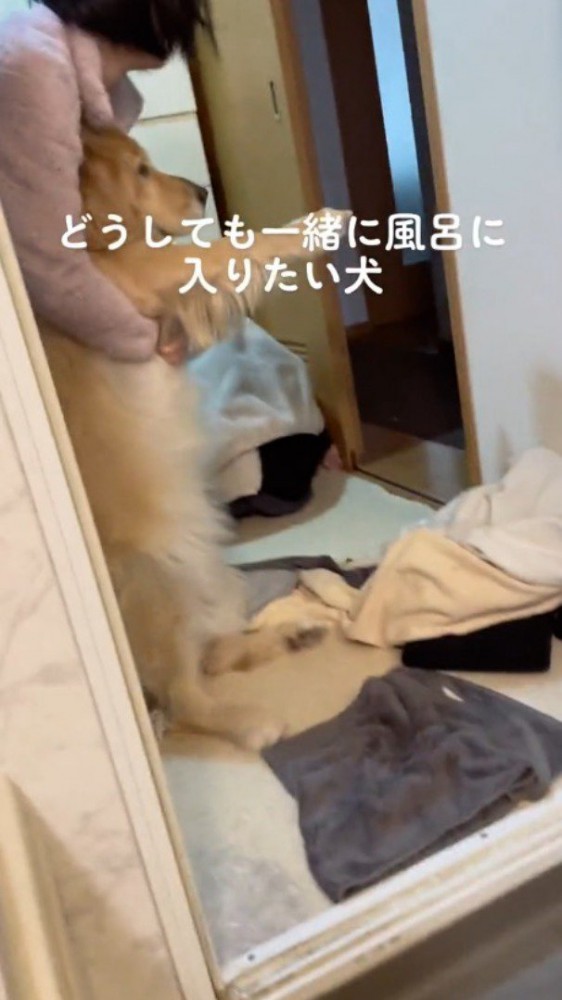 家族に腕を抱えられて動きを封じられている犬