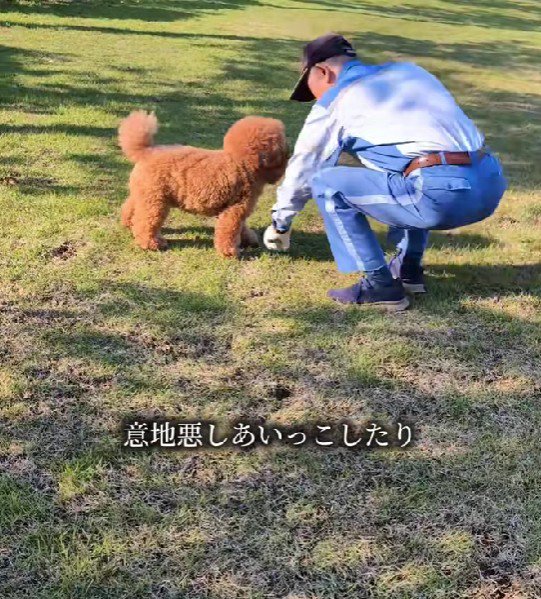 隙を見ておもちゃを隠したり…