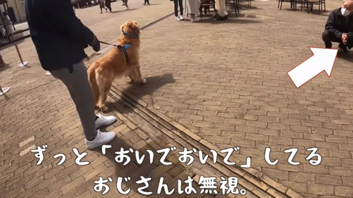 おじさんは無視するベンツくん