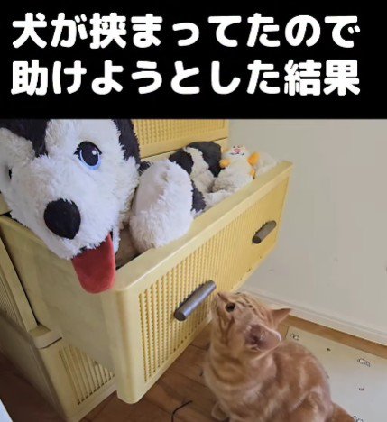 はっちゃんが挟まってる！