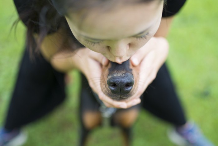 鼻を掴む女性と犬