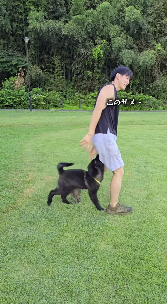 男性のズボンに噛みついて離れない黒い犬