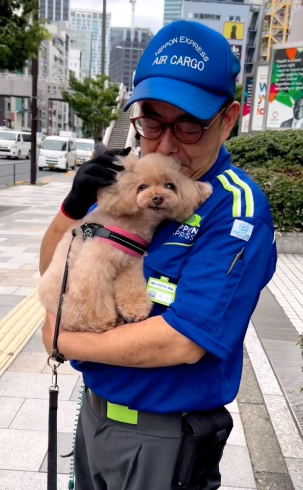 抱っこされながら撫でられる犬