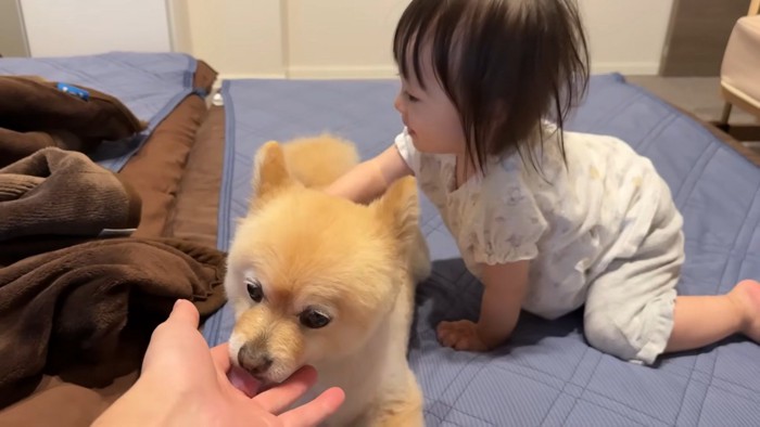 「わたしももっとナデナデする!」