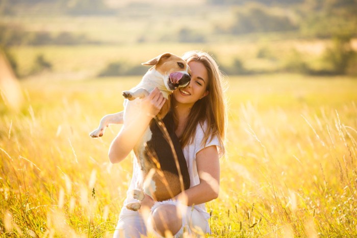 犬と飼い主