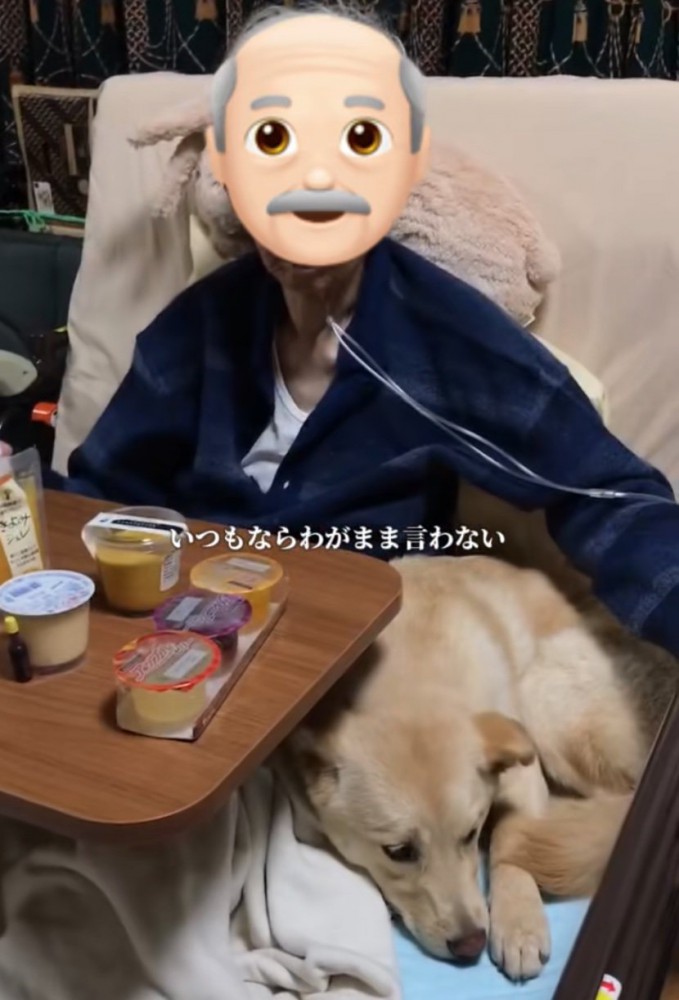 隣でくつろぐ犬