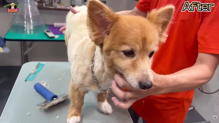 さっぱりキレイな体に!