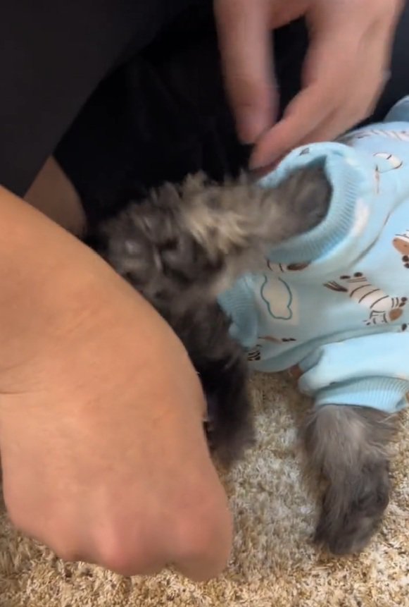 パパを甘噛みするゆずくん