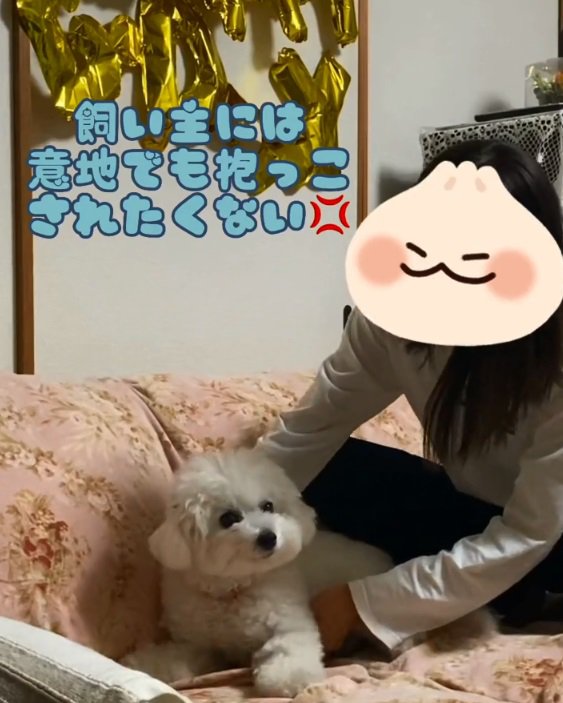抱っこしようとする飼い主