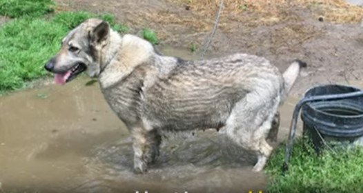 水びたしの地面