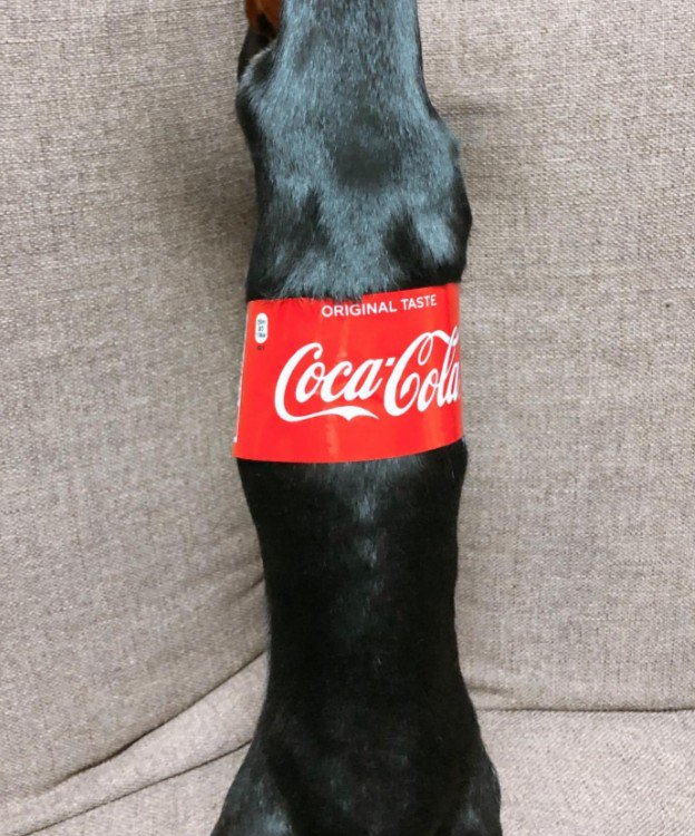 コカ・コーラの画像と思いきや?