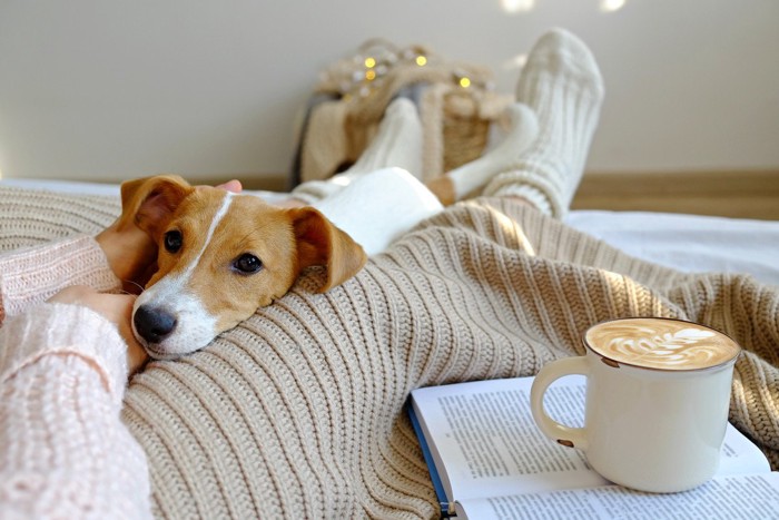 飼い主の足の間でリラックスする犬