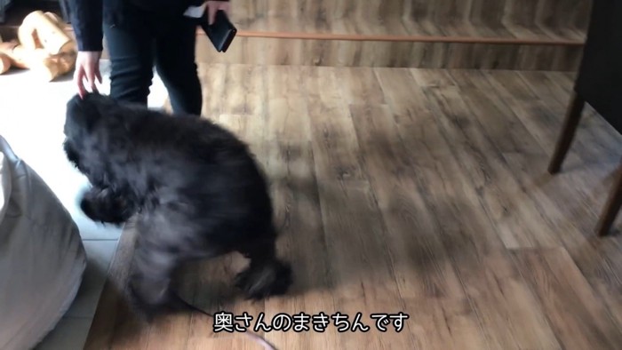 テンション高めでご挨拶♪