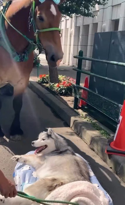 ふたりの友情に涙…