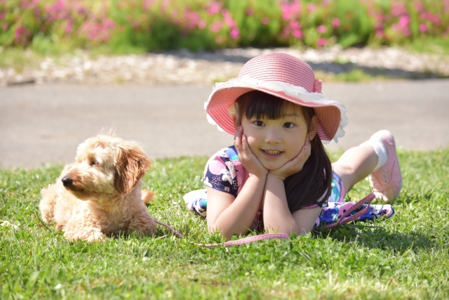 帽子をかぶった女の子と犬