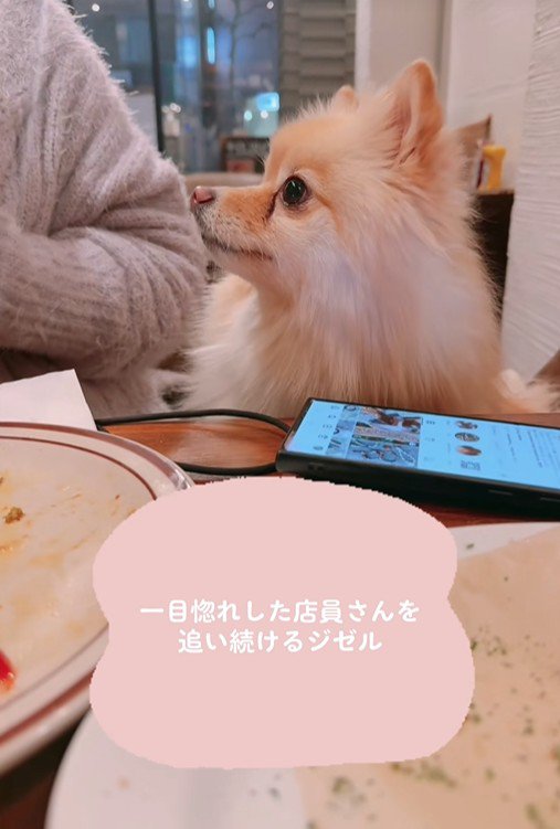 完全にロックオン！