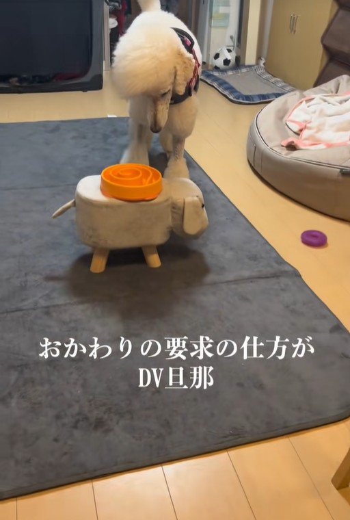 お皿を見下ろして…